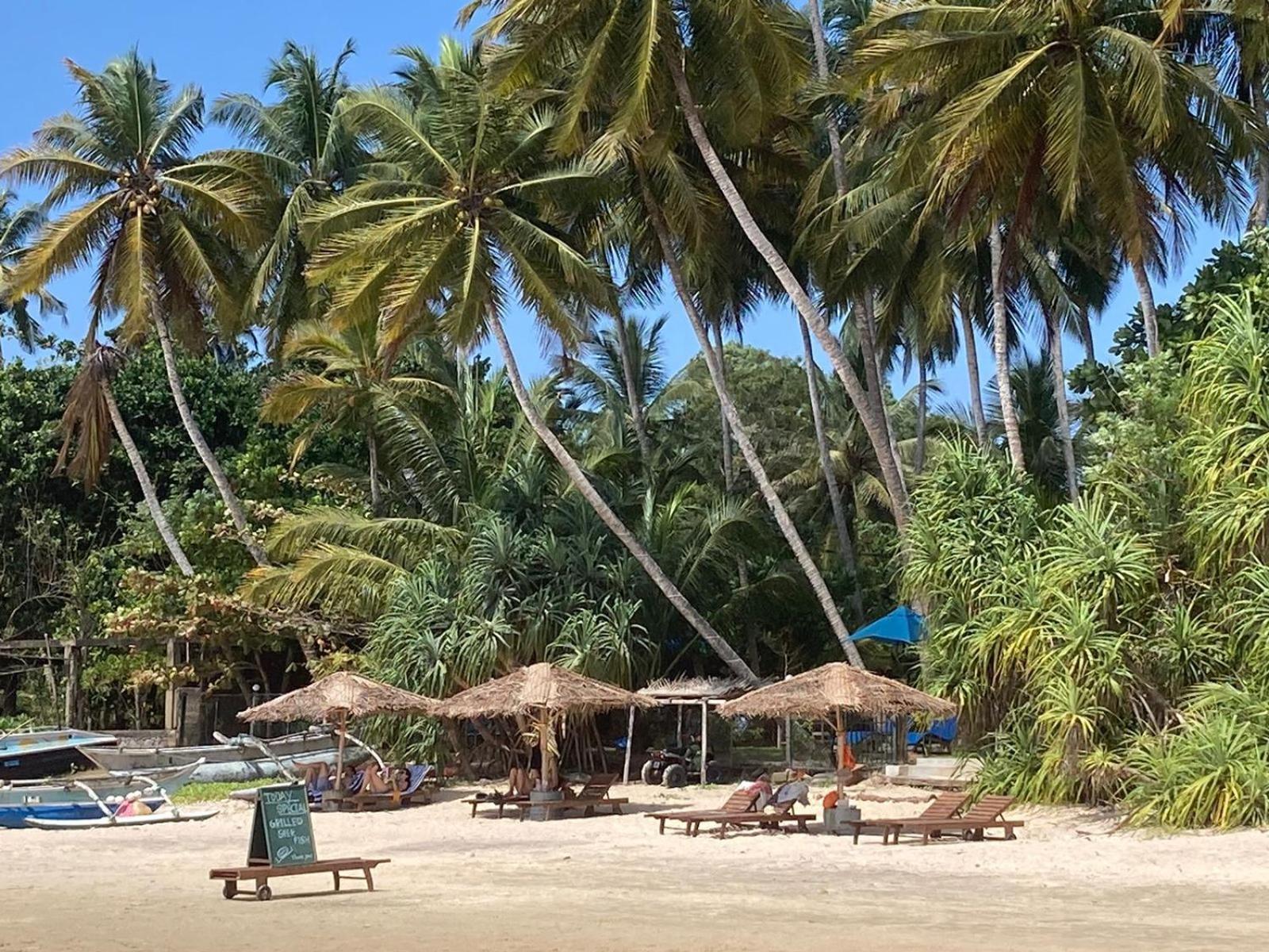 Esperanza Beach Mawella 호텔 탕갈레 외부 사진